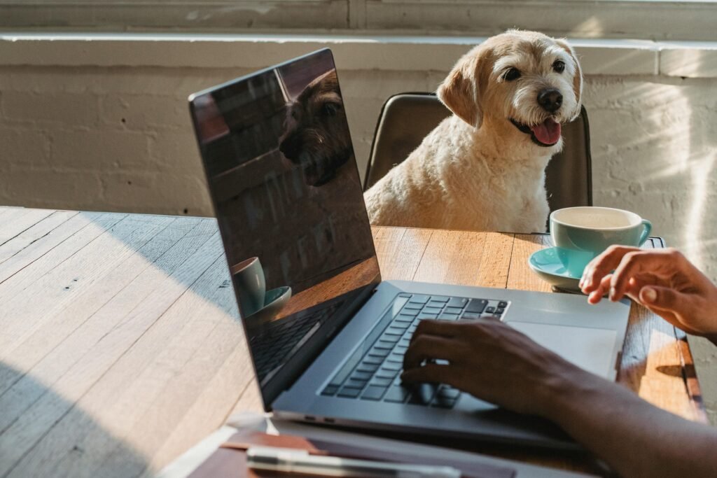 By 2025, remote work is the norm. Build a routine to boost productivity, balance, and motivation. Start thriving today!